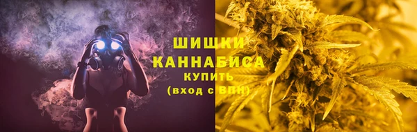 PSILOCYBIN Богданович