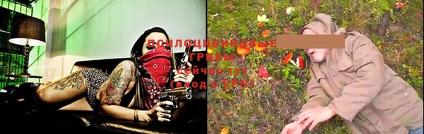 гидропоника Богородицк