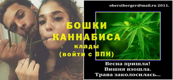 PSILOCYBIN Богданович